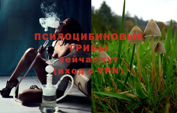 apvp Няндома
