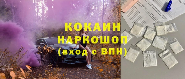 apvp Няндома