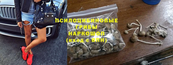 apvp Няндома