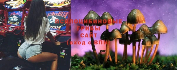 прущая мука Нягань