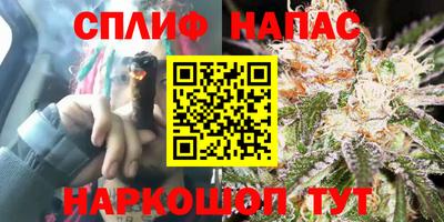 стаф Камень-на-Оби