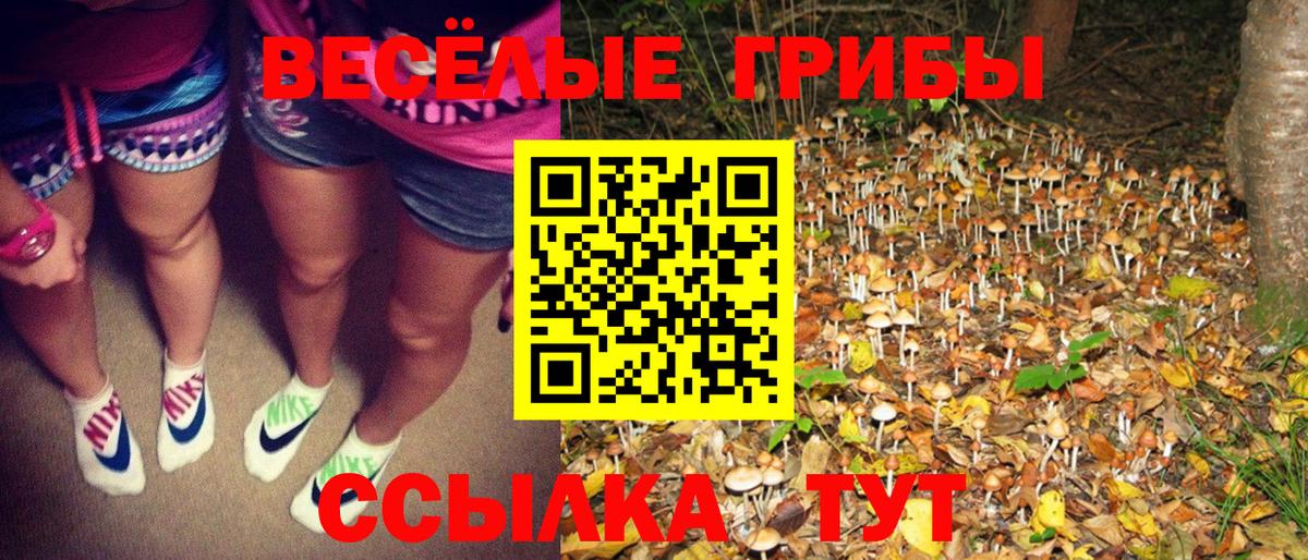 Абакан  Галлюциногенные грибы Psilocybine cubensis  Вход с VPN 