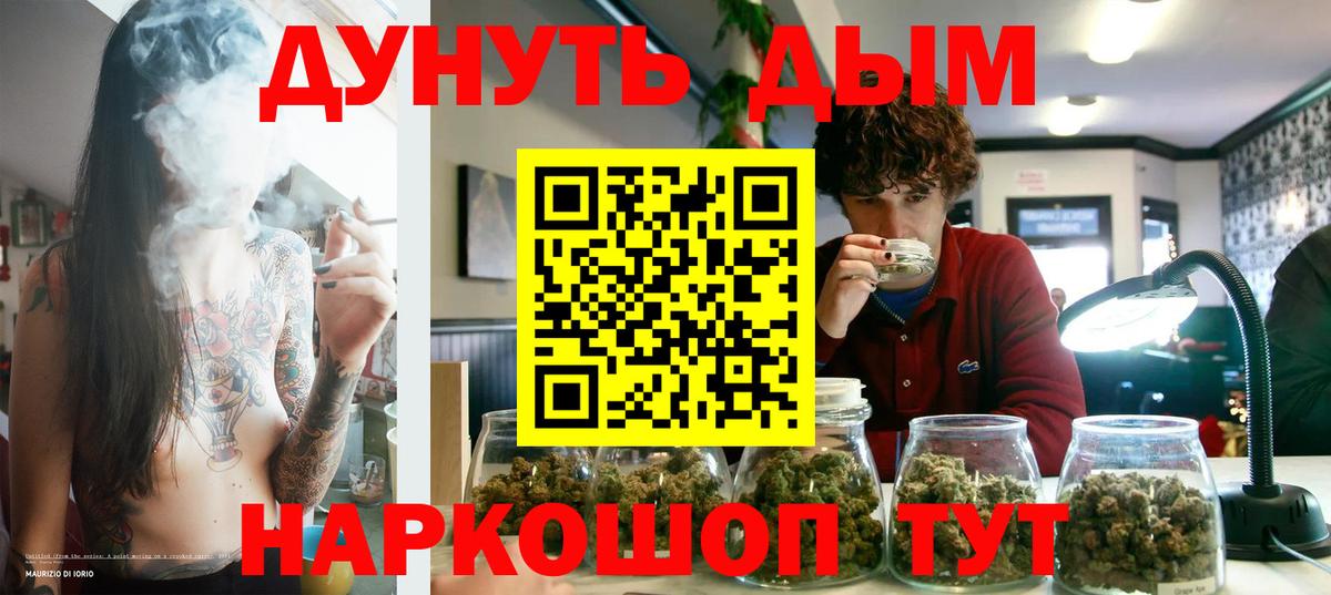 Бошки Шишки планчик Абакан